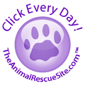 The Animal Rescue Site feeds animals