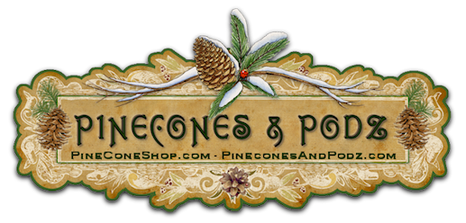 Pinecones & Podz - Pine Cones and Pods for Nature Crafting