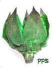 Hibiscus Pods for Potpourri
