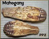 Mahogany Pods for Crafts and Floral Design