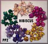 Hibiscus Pods for Potpourri and Crafts