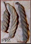 Twistie Twisty Pods - Screw Bean Pods