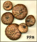 Flat Acorn Caps