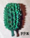Casuarina Pods in multiple colors!  - PPZ