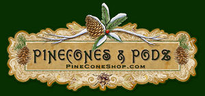 Pinecones & Podz
